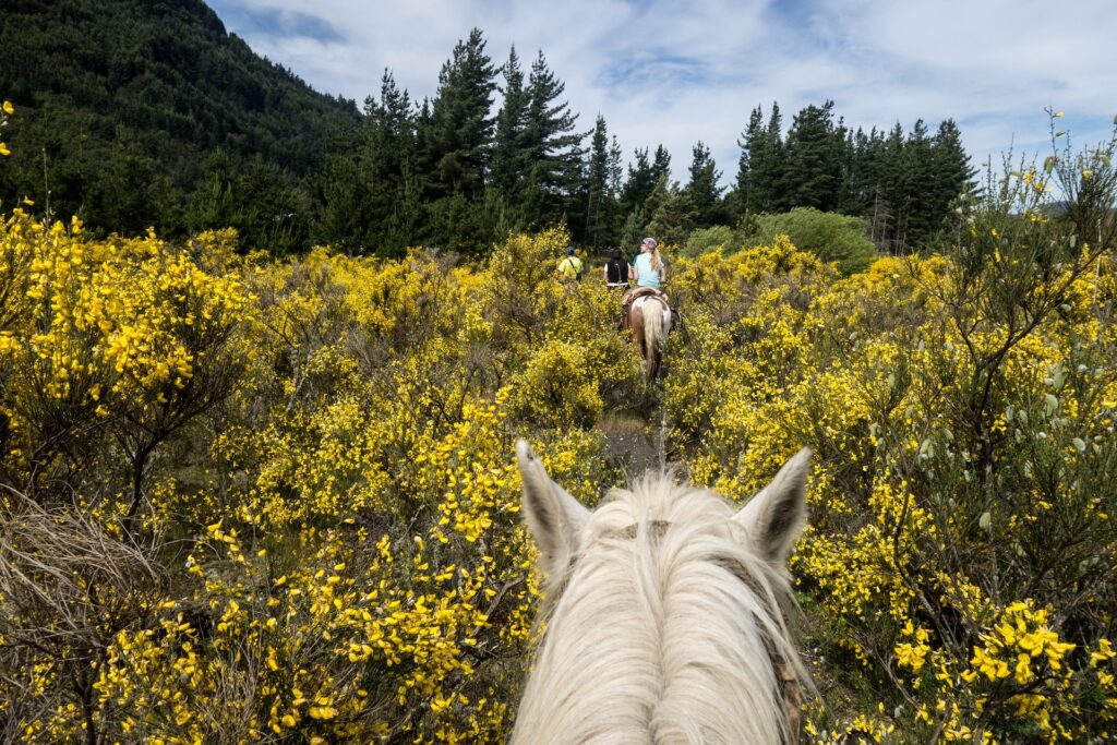 Aventura de Cabrejas - Ruta A Caballo